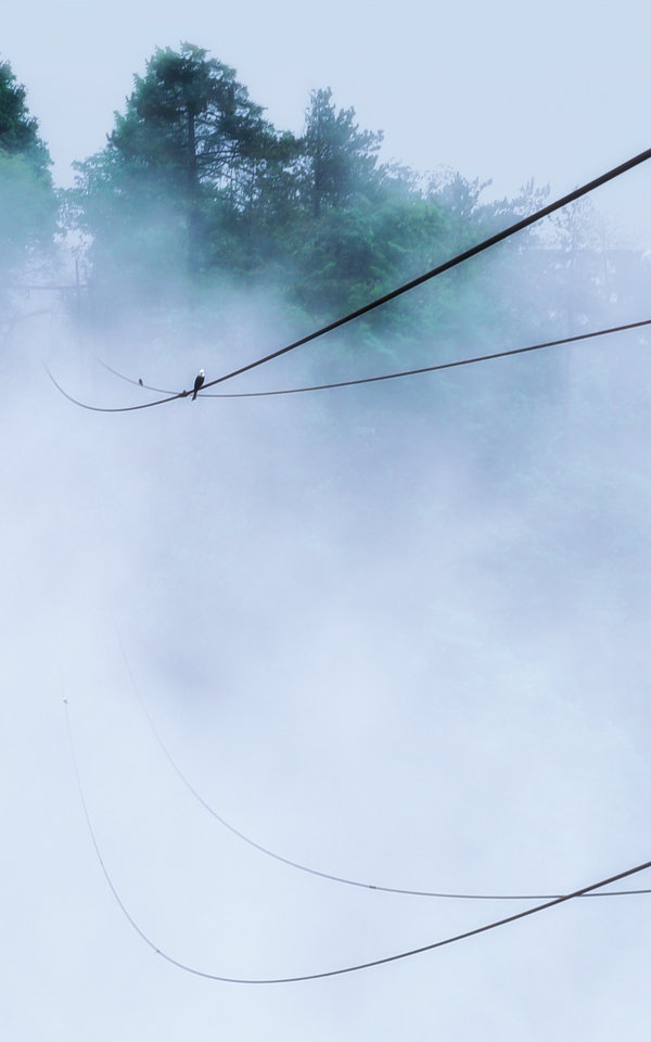 05 林葉 DSC_0208-2a.jpg 05 林葉 DSC_0208-2a.jpg