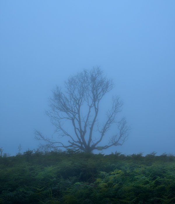 08 周挺業(yè)_MG_9124a.jpg 08 周挺業(yè)_MG_9124a.jpg