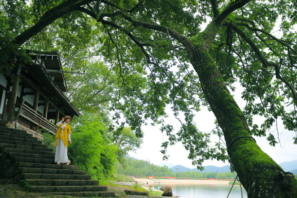 10 木霄挺 02.jpg 10 木霄挺 02.jpg