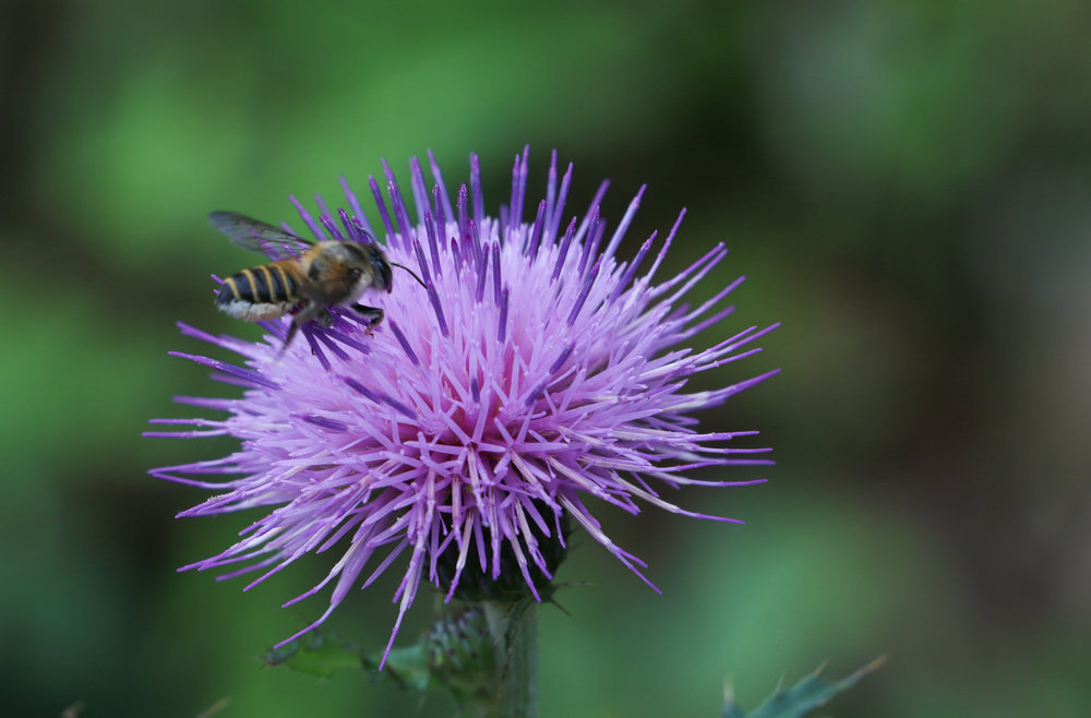 11 胡婷婷 IMG_6117a.jpg 11 胡婷婷 IMG_6117a.jpg