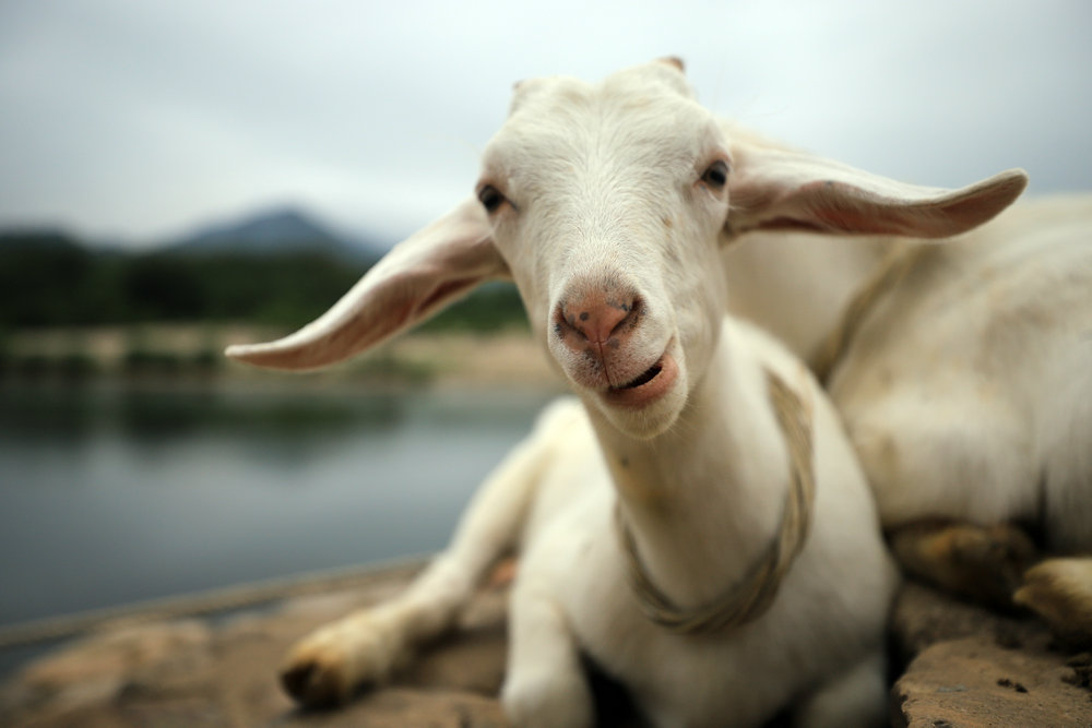 12 木霄挺 03.jpg 12 木霄挺 03.jpg