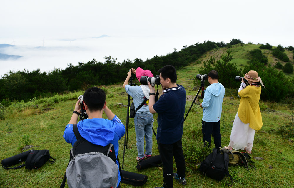 14 DSC_0218-2.jpg 14 DSC_0218-2.jpg