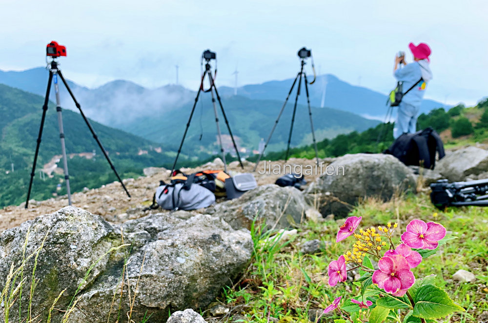 15 微信圖片_20200621192524.jpg 15 微信圖片_20200621192524.jpg