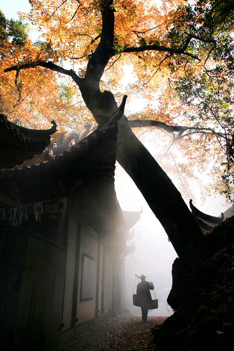 B類 3等獎(jiǎng) 張浩：晨出.jpg