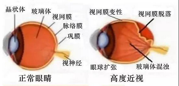 微信圖片_20210309103821_縮小大小.jpg 微信圖片_20210309103821_縮小大小.jpg