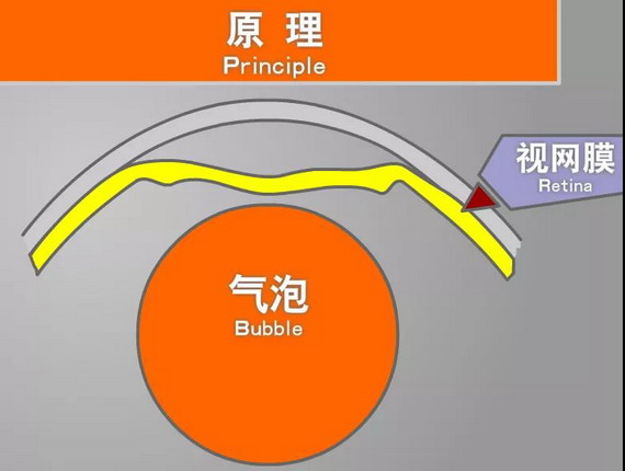 微信圖片_20210309103830_縮小大小.jpg 微信圖片_20210309103830_縮小大小.jpg