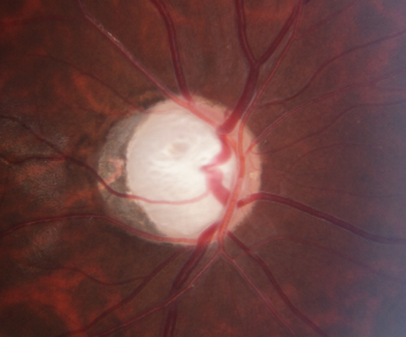 微信圖片_20210309104600_縮小大小.png 微信圖片_20210309104600_縮小大小.png